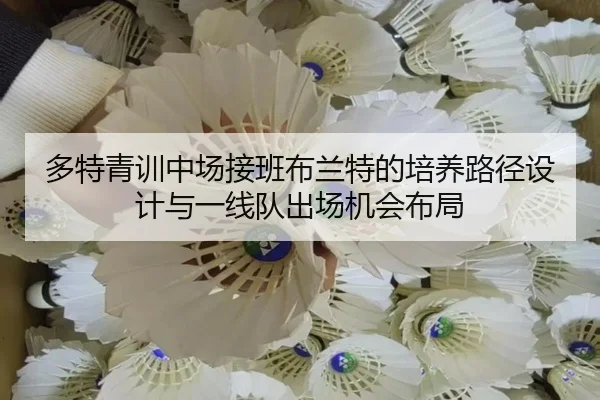 多特青训中场接班布兰特的培养路径设计与一线队出场机会布局